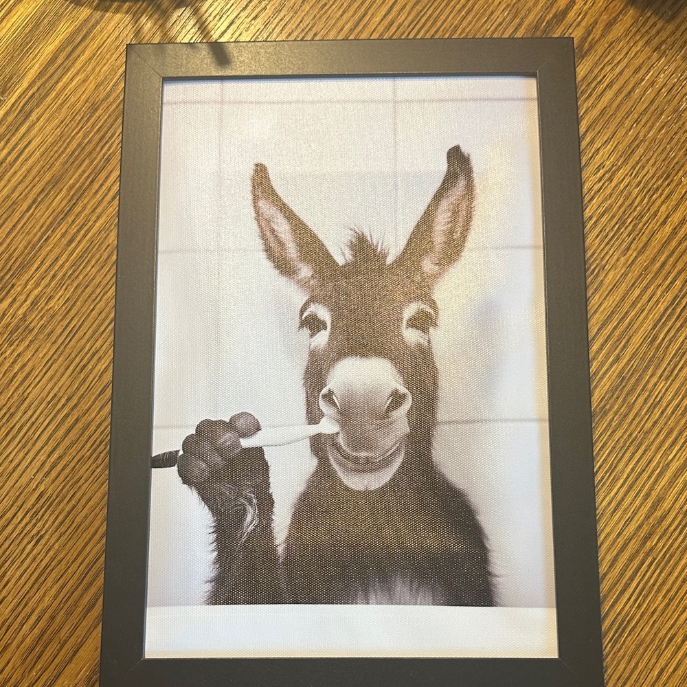 Framed Donkey Art with Toothbrush